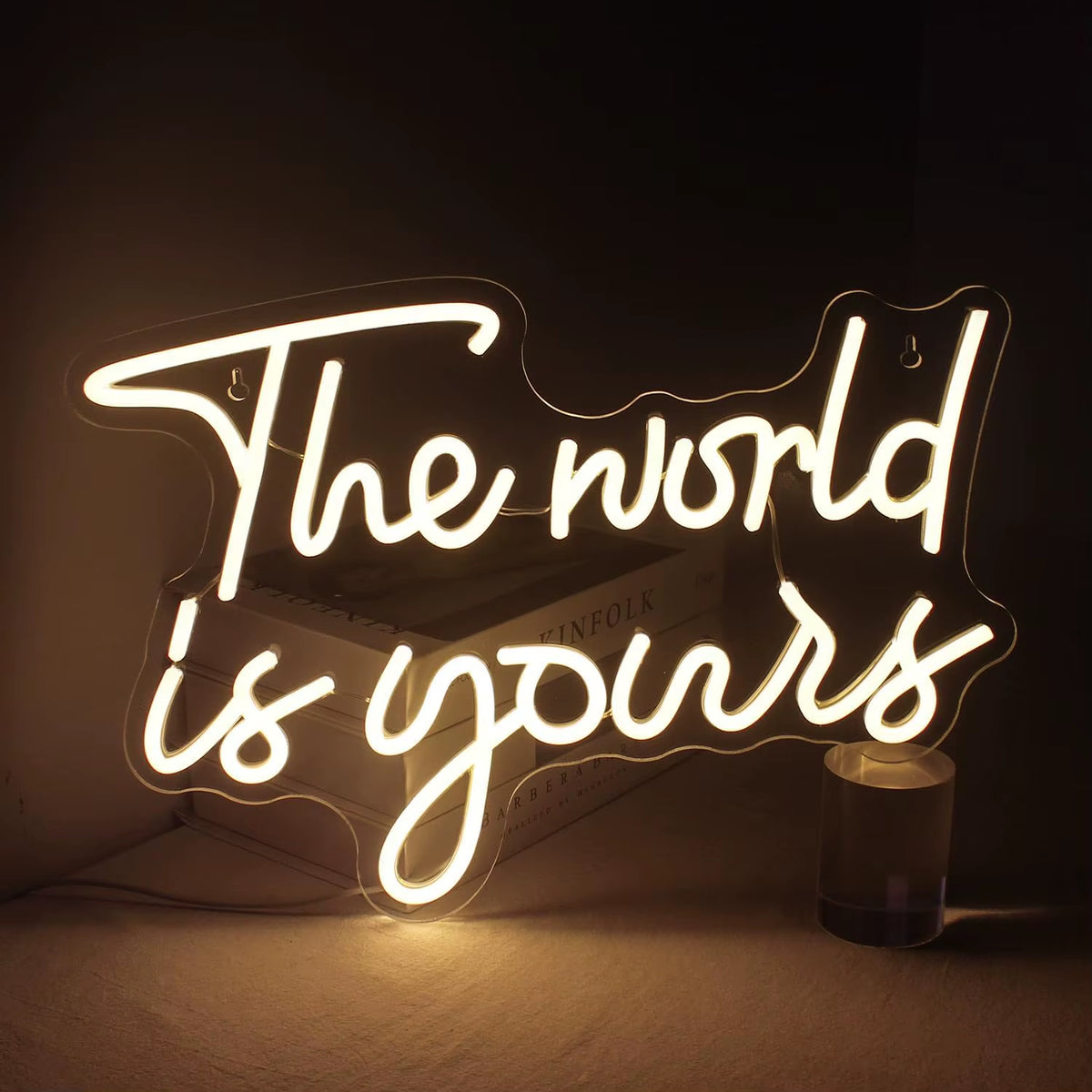 The World Is Yours Neon Sign - Carved Planet LED